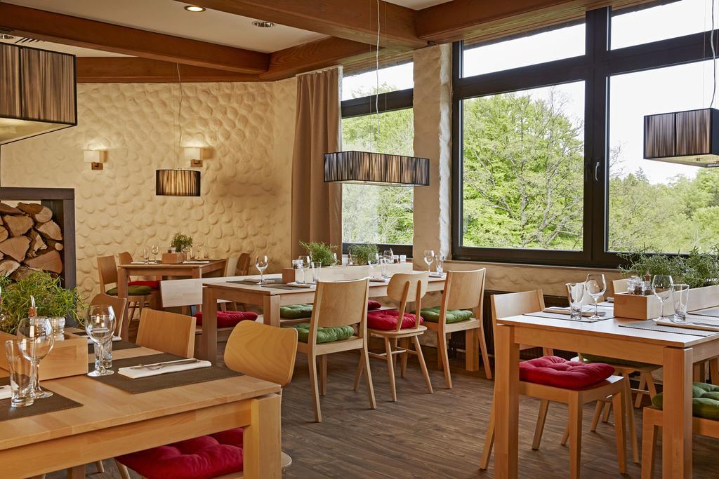 H+ Hotel Willingen Willingen  Kültér fotó